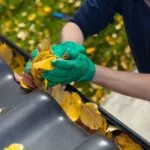 Seasonal Drain Maintenance Checklist (Spring, Summer, Autumn, Winter)