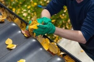Seasonal Drain Maintenance Checklist (Spring, Summer, Autumn, Winter) by drainage & plumbing Ltd