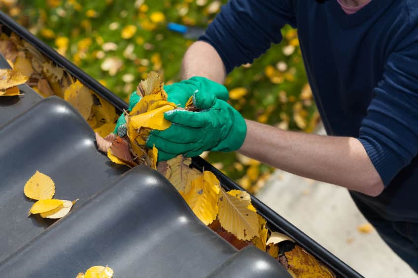 Seasonal Drain Maintenance Checklist (Spring, Summer, Autumn, Winter)