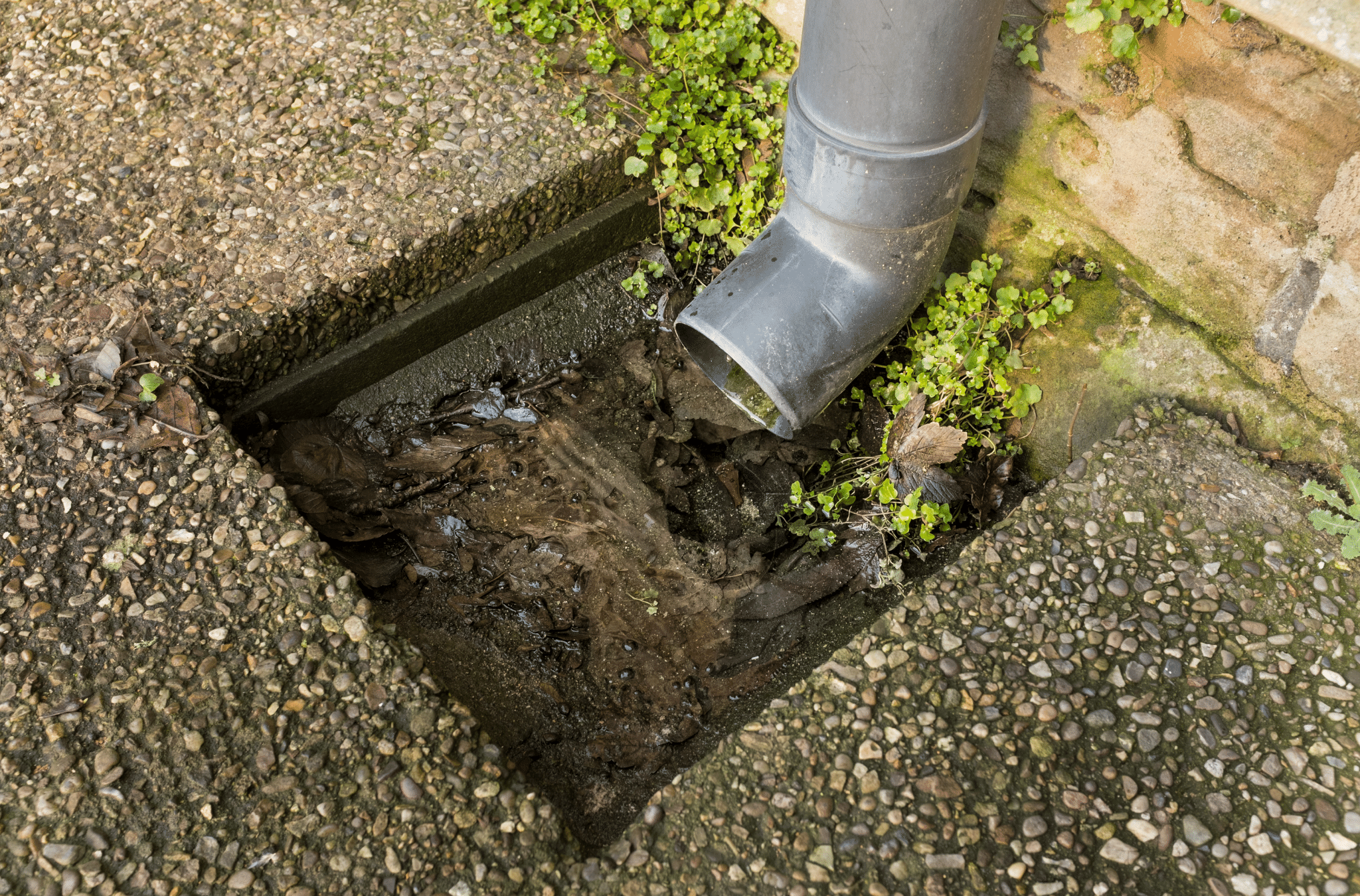 Sanderstead Drain Blockages – Common Causes and Quick Fixes