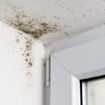 Can Blocked Drains Cause Damp or Mould in the Home?