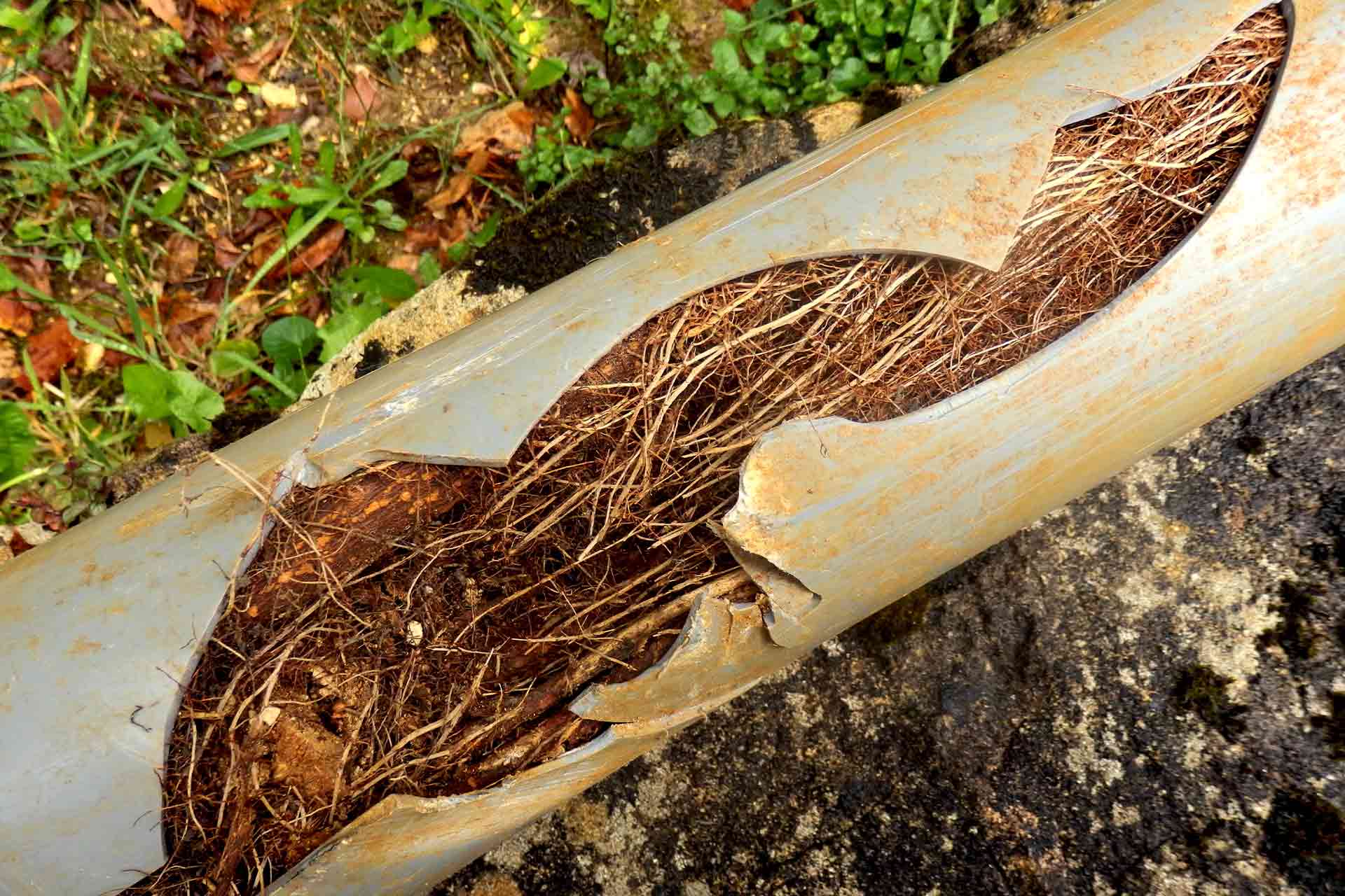 Collapsed Drains