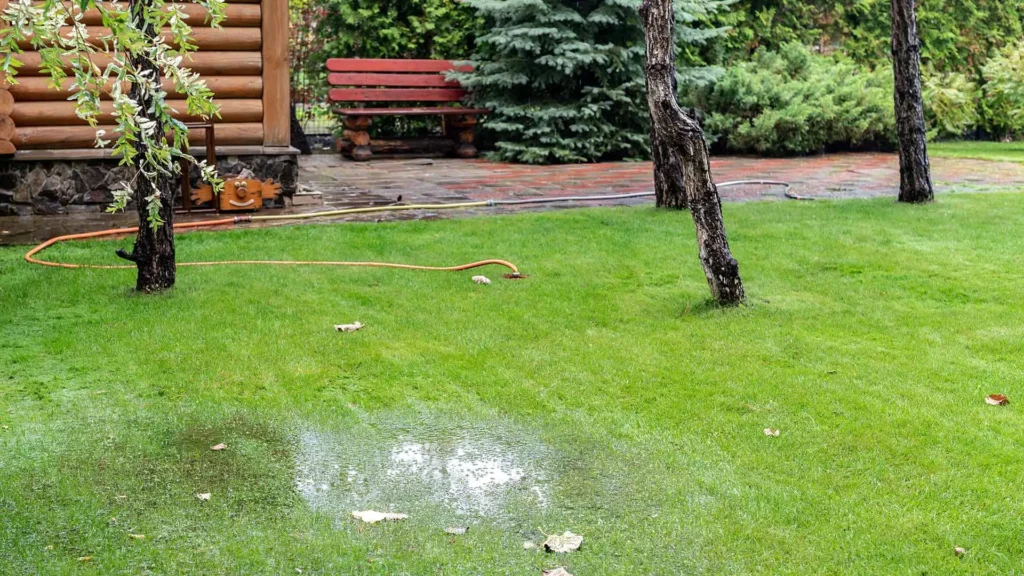 Common drainage issues in South East England including blocked drains, tree root intrusion, and pipe repairs by Drainage & Plumbing Ltd