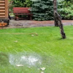 Common Drainage Issues in South East England and How Local Experts Can Help