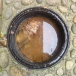 Blocked Drains in Bromley: 24/7 Emergency Unblocking