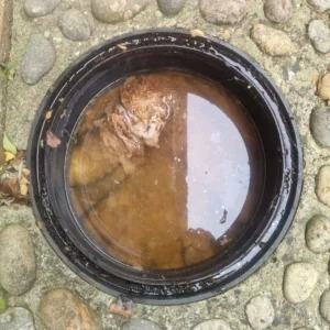 Blocked Drain in Bromley by Drainage&Plumbing Ltd