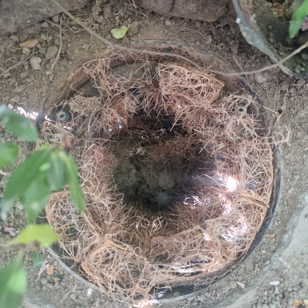 Engineer fixing blocked drain in Addington Title: Blocked Drain Addington Service – Drainage & Plumbing LTD