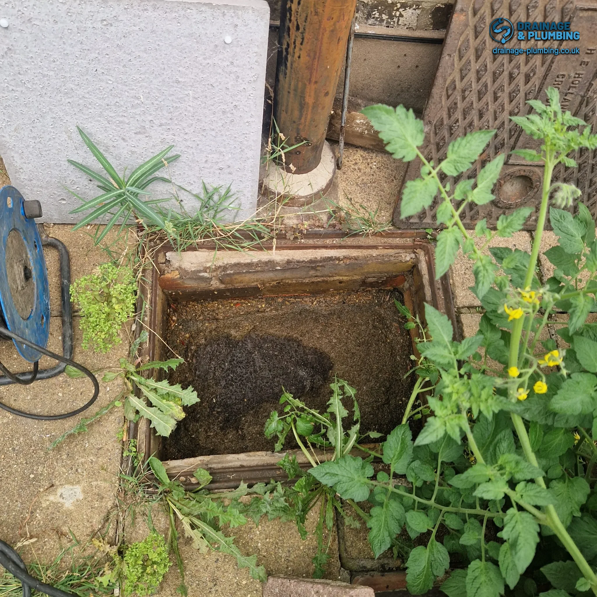 grease and food debris build-up inside a kitchen sink drain pipe, a common cause of blockages in Croydon homes