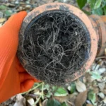 The Esher Homeowner’s Survival Guide to Blocked Drains