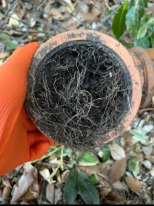 Blocked drains in Esher cleared using professional high-pressure water jetting by Drainage & Plumbing LTD