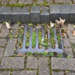 Blocked Drain Services in Orpington: Quick Fixes, Lasting Results, and Complete Peace of Mind