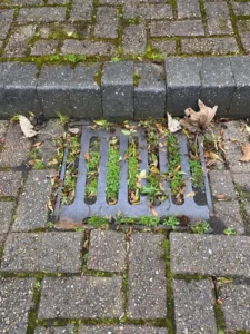 A Drainage & Plumbing LTD engineer arriving at a property to clear blocked drains in Orpington.