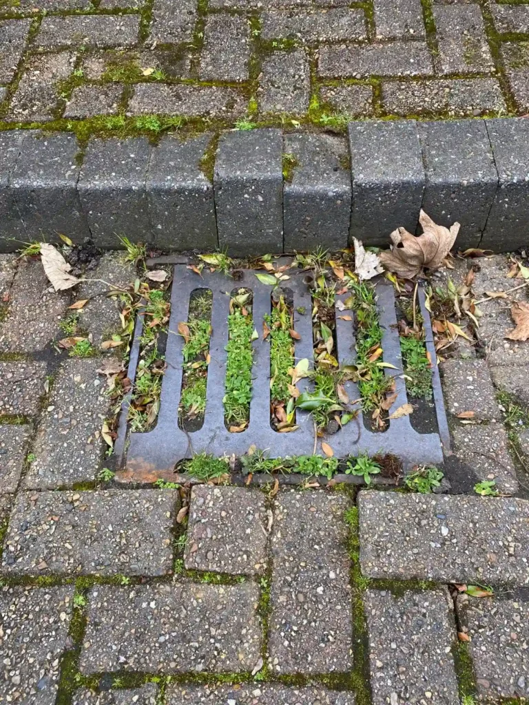 A Drainage & Plumbing LTD engineer arriving at a property to clear blocked drains in Orpington.