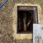 Why Your Drains Keep Getting Blocked in Purley (And How to Fix It for Good)