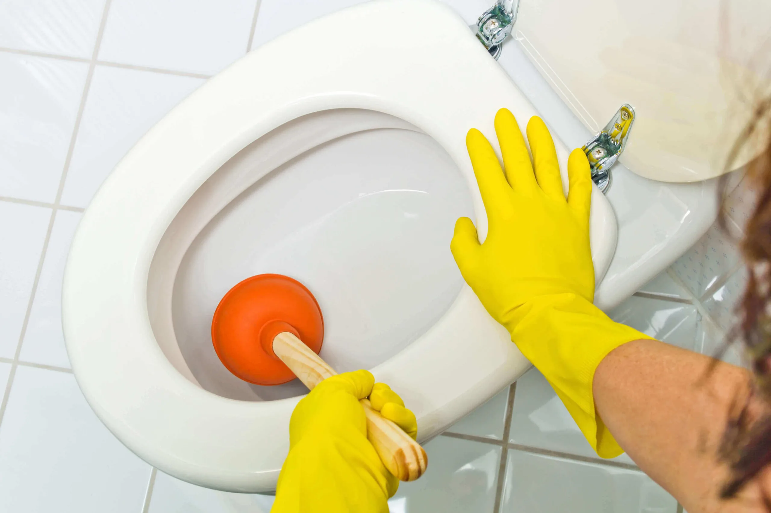 Rats in Drains: Why 4 in 5 UK Infestations Start Underground 12 Emergency blocked toilet situation demonstrating rats entering through drainage outlet