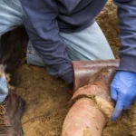 Emergency Drainage Callout Services in South East England – 24/7 Fast Response