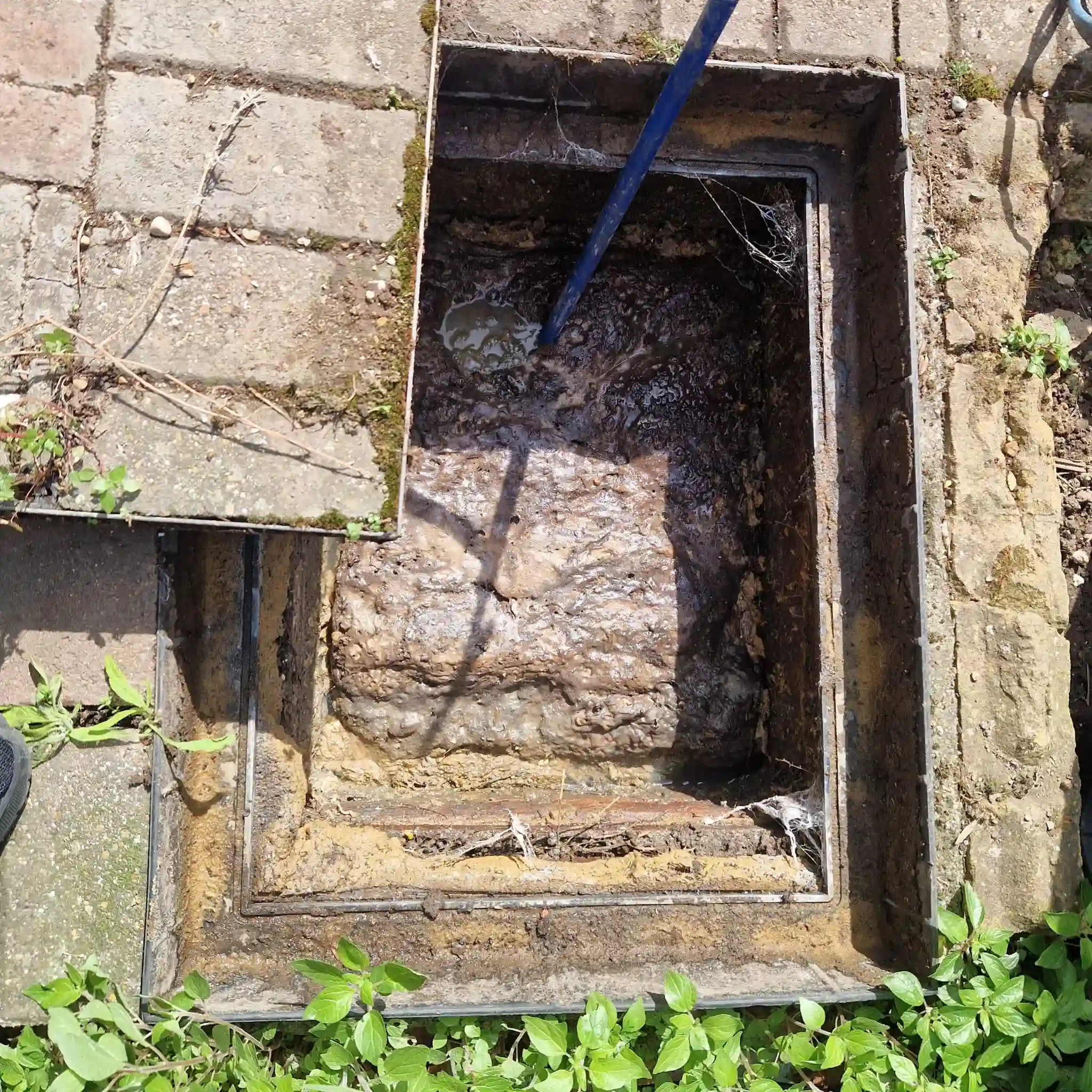Garden drainage survey in progress showing trench digging and soil analysis