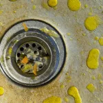 Why You Shouldn’t Pour Grease Down the Drain (And What to Do Instead)