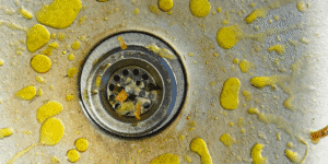 Why You Shouldn’t Pour Grease Down the Drain (And What to Do Instead)