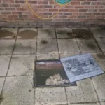 Blocked Drain Experts Near Me | Fast, Local Repairs & Cleaning
