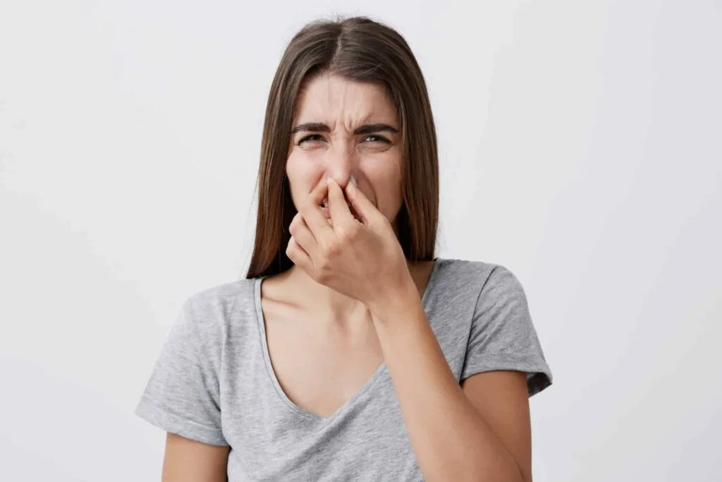 Why Do Drains Smell? Causes and Easy Fixes