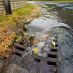 Top 5 Causes of Overflowing Drain Pipes and How to Prevent Them