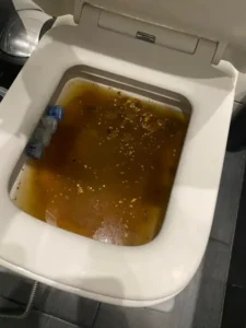 Drainage&Plumbing Ltd inside a house in Bromley for a blocked toilet service.