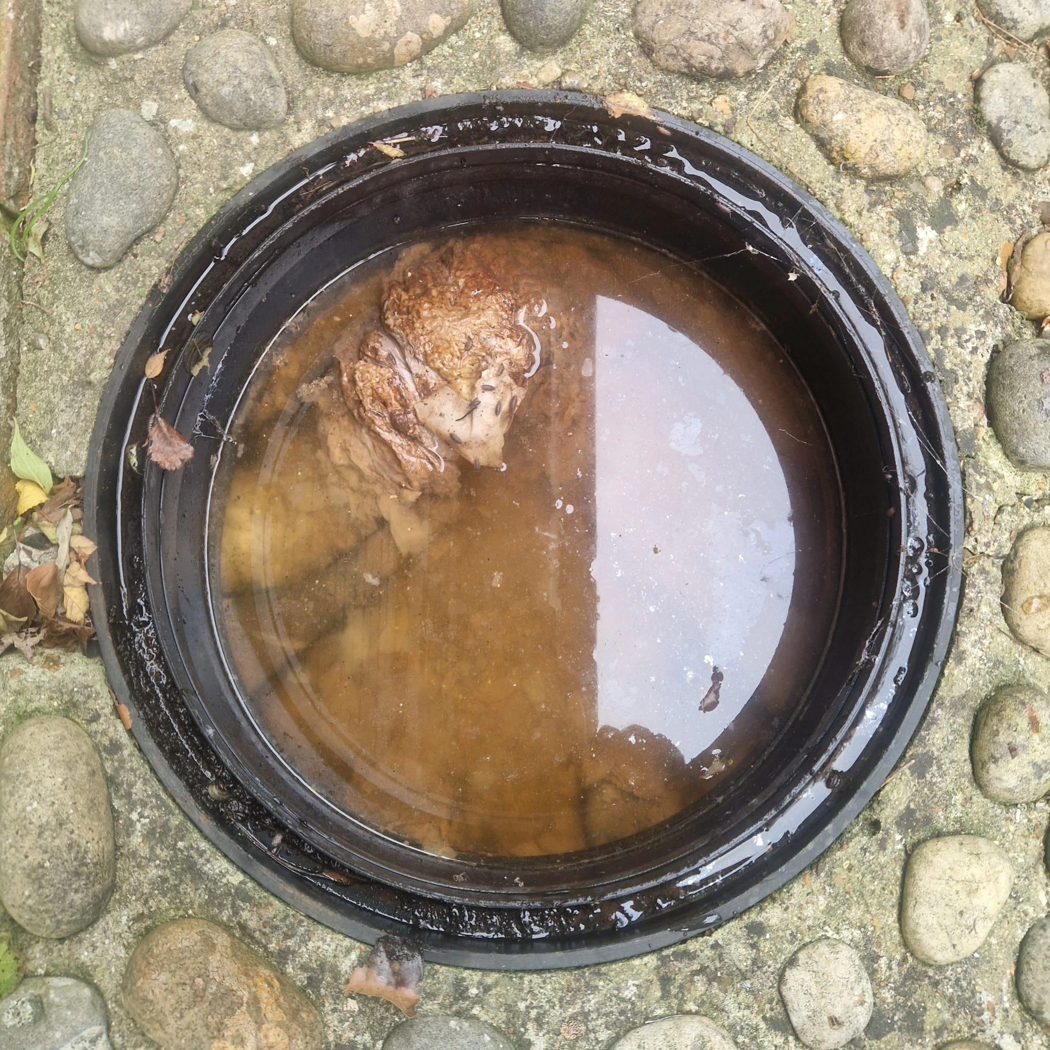 drain jetting Sutton — engineer operating high-pressure water jetting equipment at a residential drain access point in Sutton, Surrey