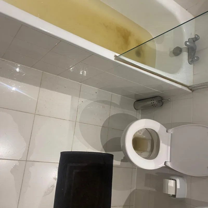 whatsappimage2025-11-12at03.50.32(1)1