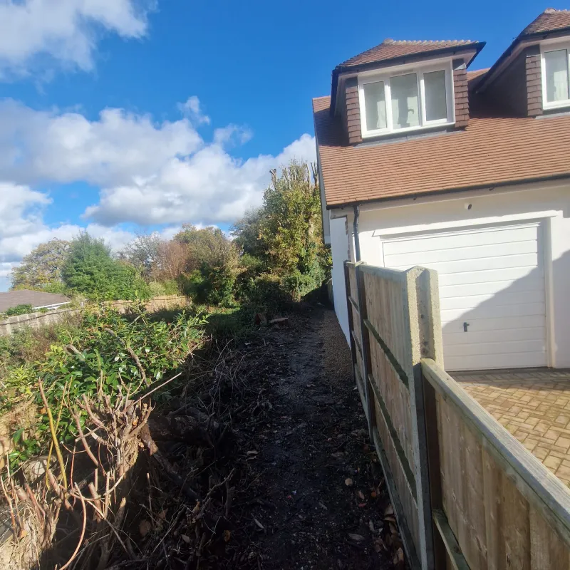 whatsappimage2025-11-12at03.50.33(1)1