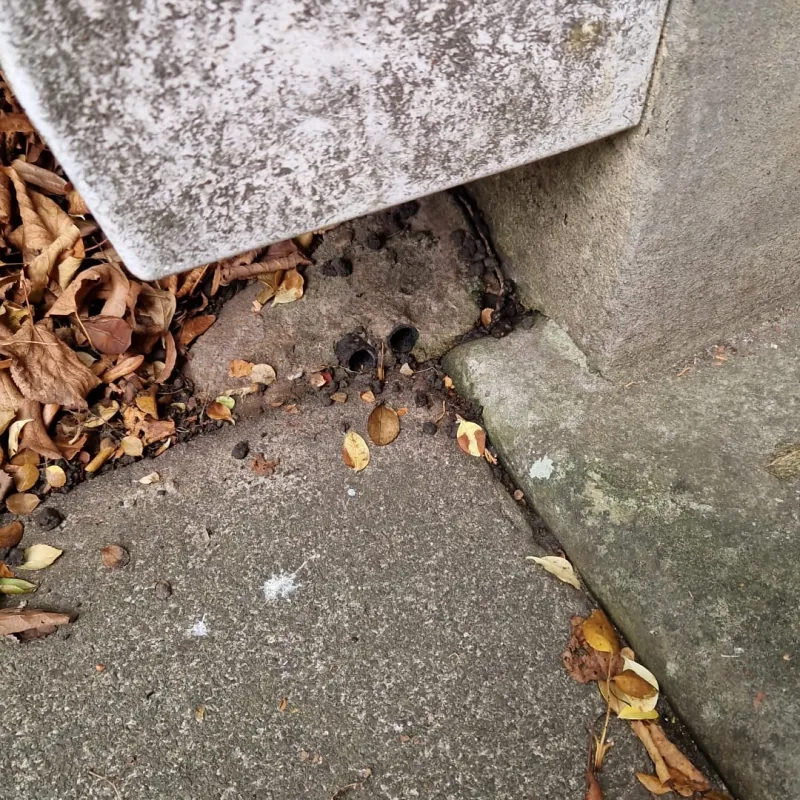 whatsappimage2025-11-12at03.50.33(2)1