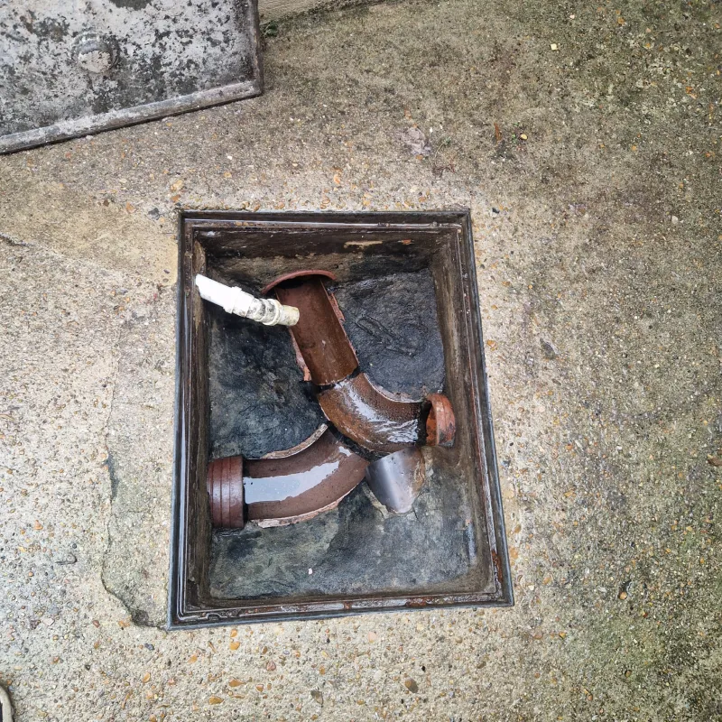 whatsappimage2025-11-12at03.50.33(3)1