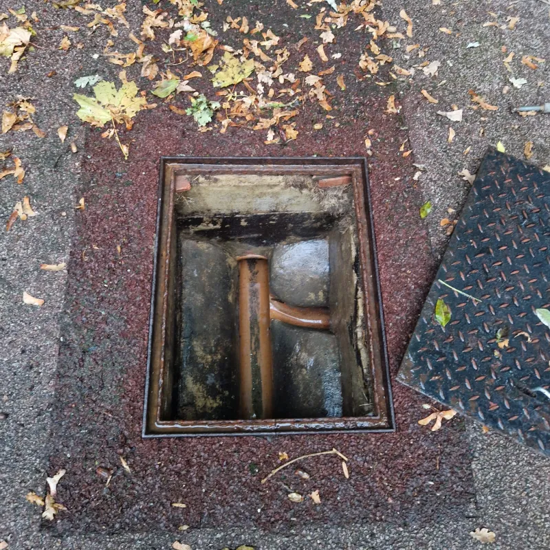 whatsappimage2025-11-12at03.50.341