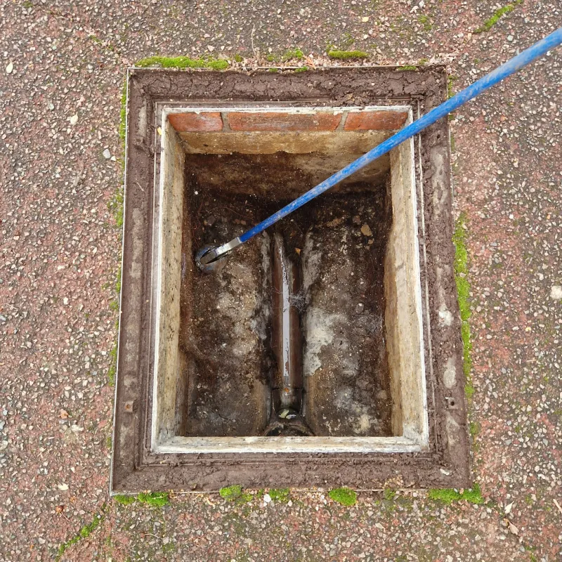 whatsappimage2025-11-12at03.50.34(2)1