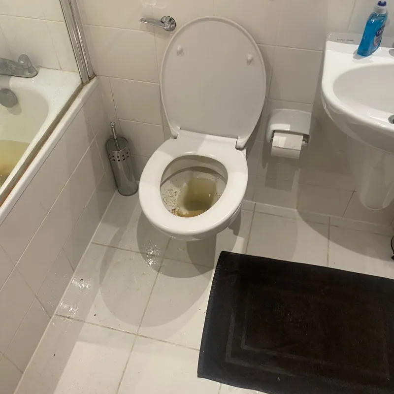 whatsappimage2025-11-12at03.50.351