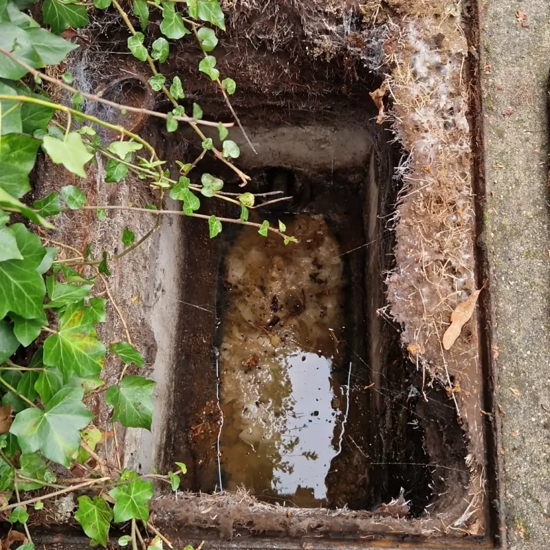 whatsappimage2025-11-12at03.50.35(1)1