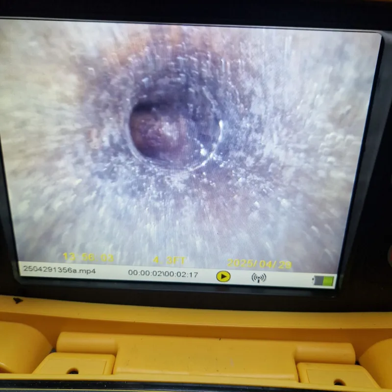 whatsappimage2025-11-12at12.00.261