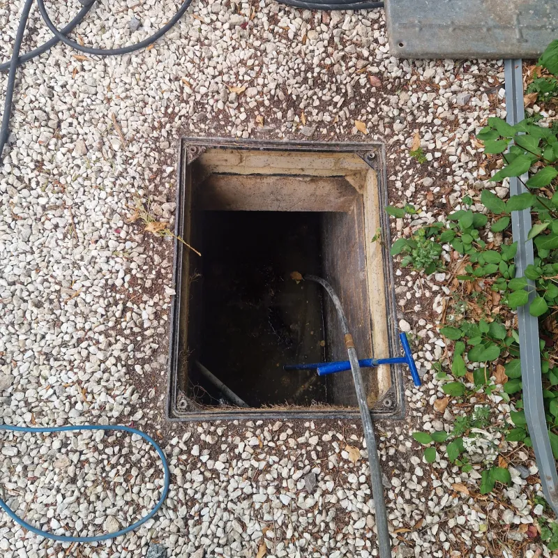 Tree root drain blockage South London — dense root mass extracted from clay pipe at Coulsdon property