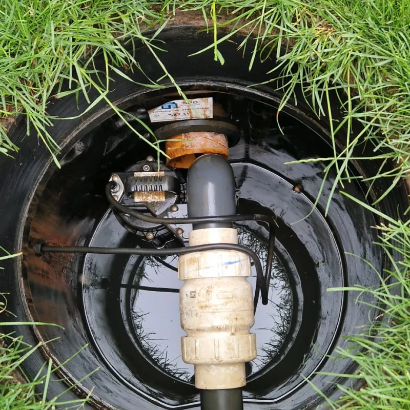 whatsappimage2025-11-12at12.00.281