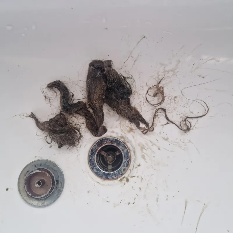 whatsappimage2025-11-12at12.00.28(1)1