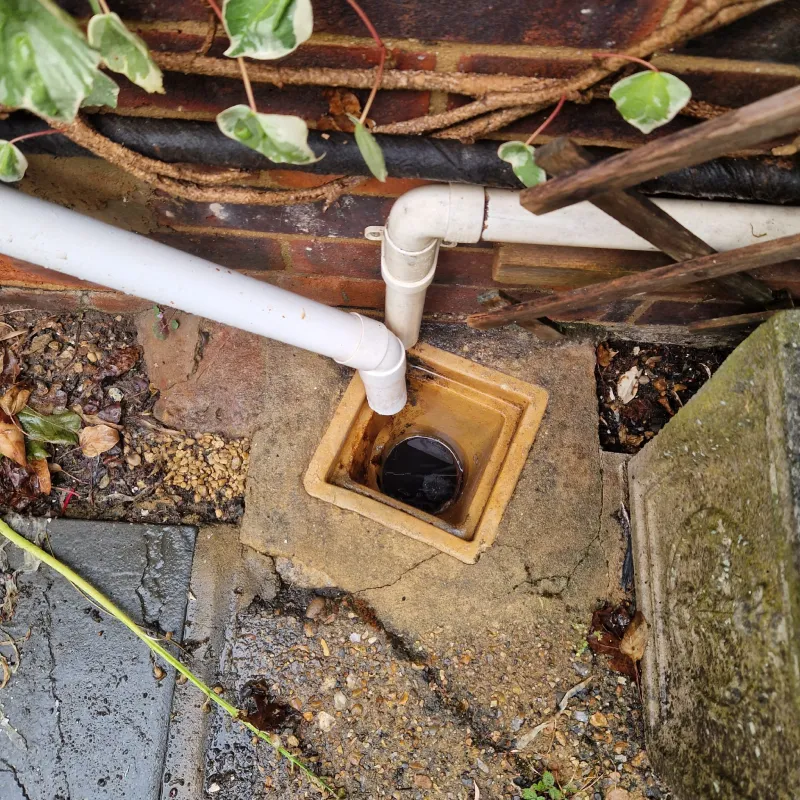 whatsappimage2025-11-12at12.00.28(2)1