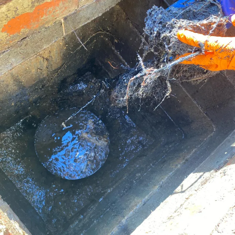 drain blockages Sanderstead — engineer inspecting clay pipe with root intrusion in a South East England garden