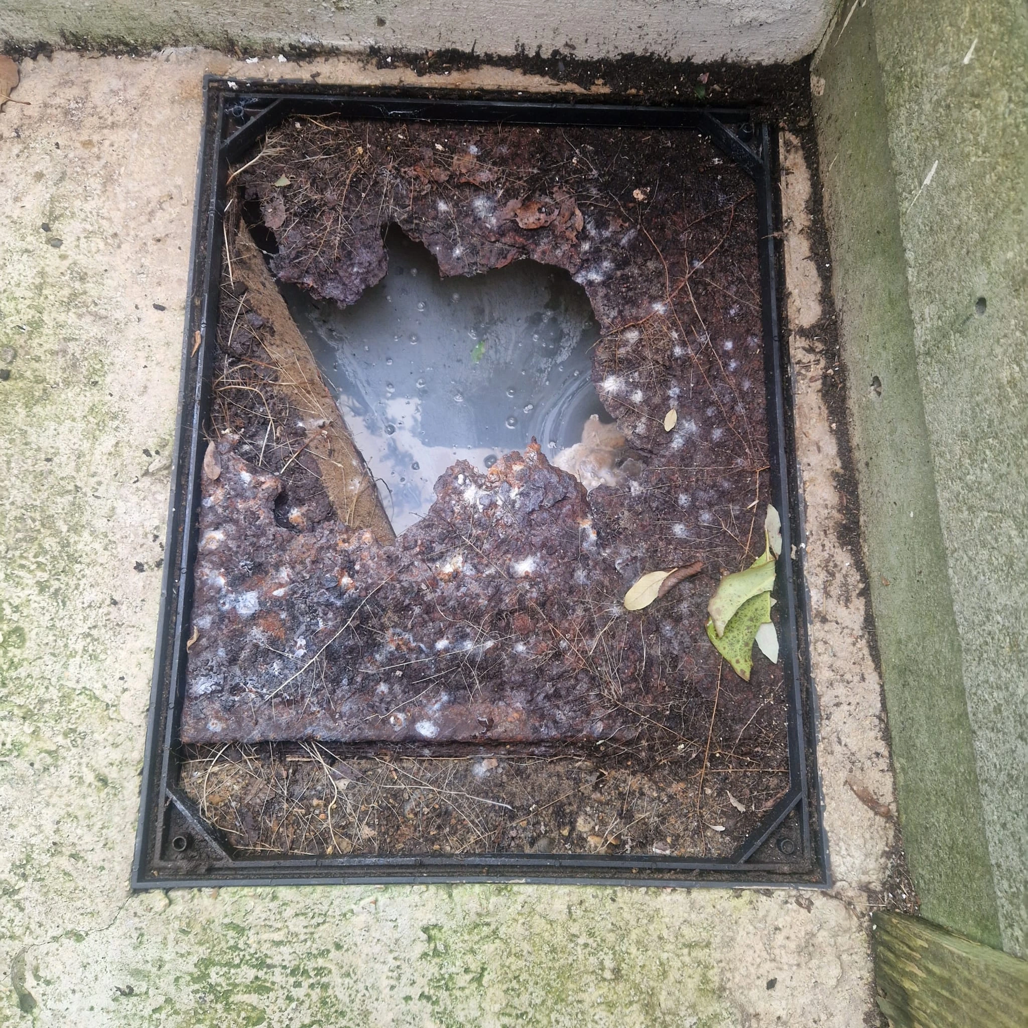 High-pressure drain jetting being used to clear a blocked drain in Epsom