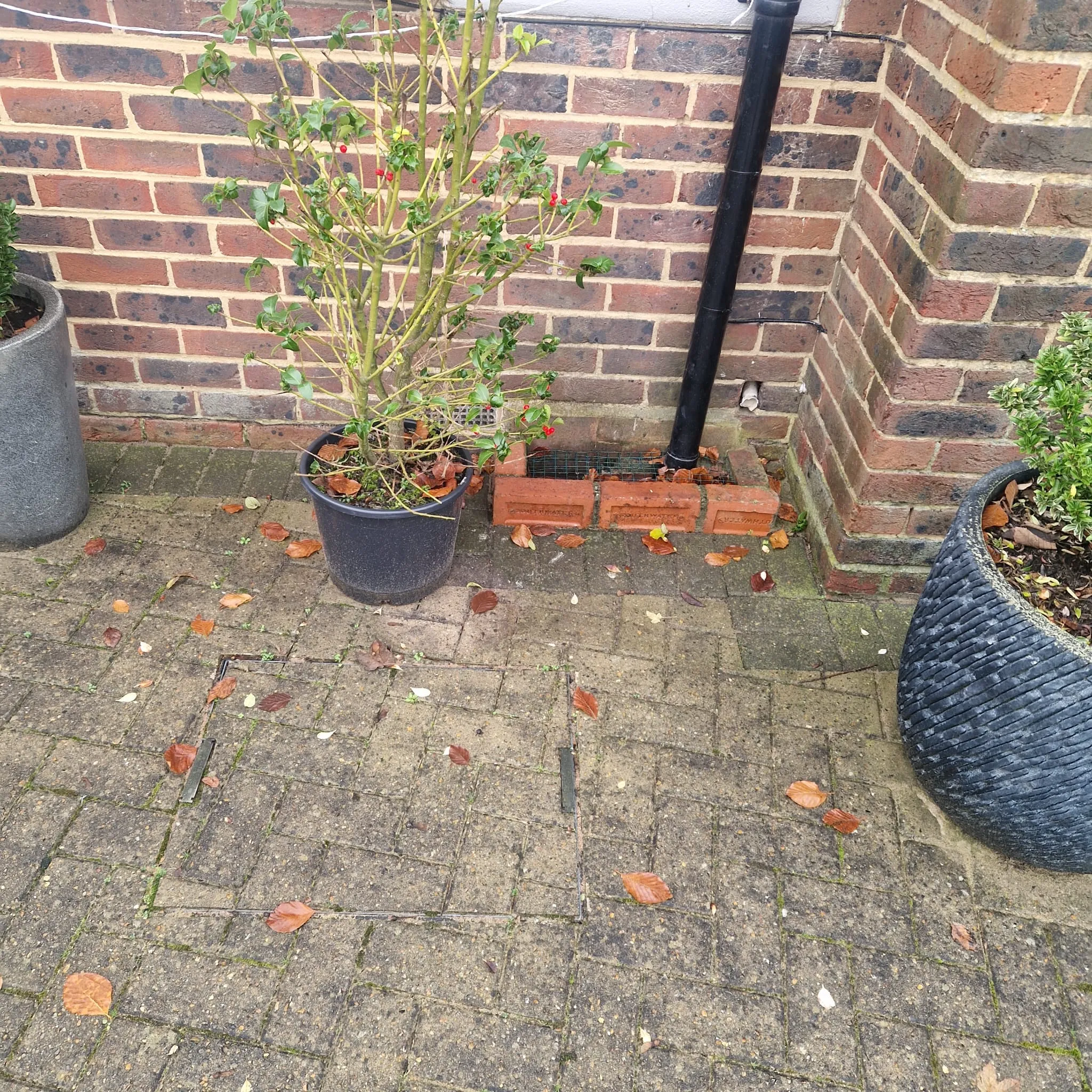 Warning signs of blocked drains in a South London home
