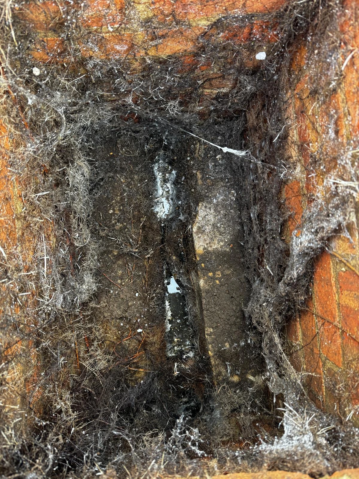 Blocked drains in South London inspected during a residential drain check