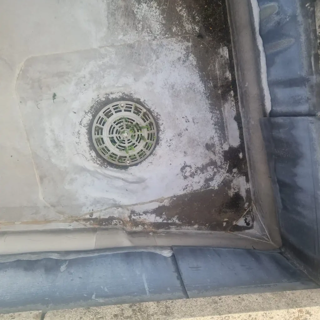 Tree root removal from blocked drain in Cheam by Drainage & Plumbing Ltd