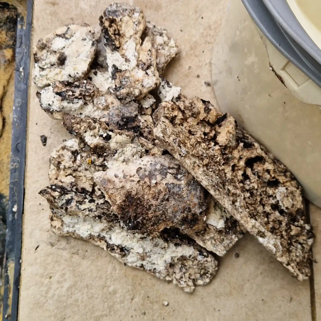 Solidified grease and fat removed by a professional drain clearing service.