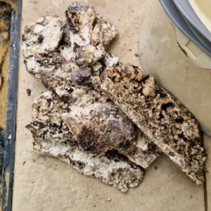 Solidified grease and fat removed by a professional drain clearing service.