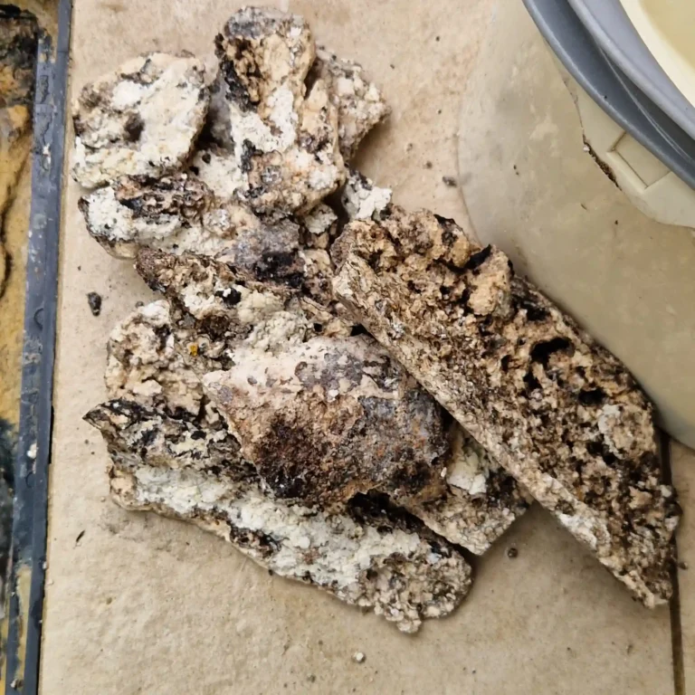 Exposed: See The Massive Fat Blockage Behind Your Sink