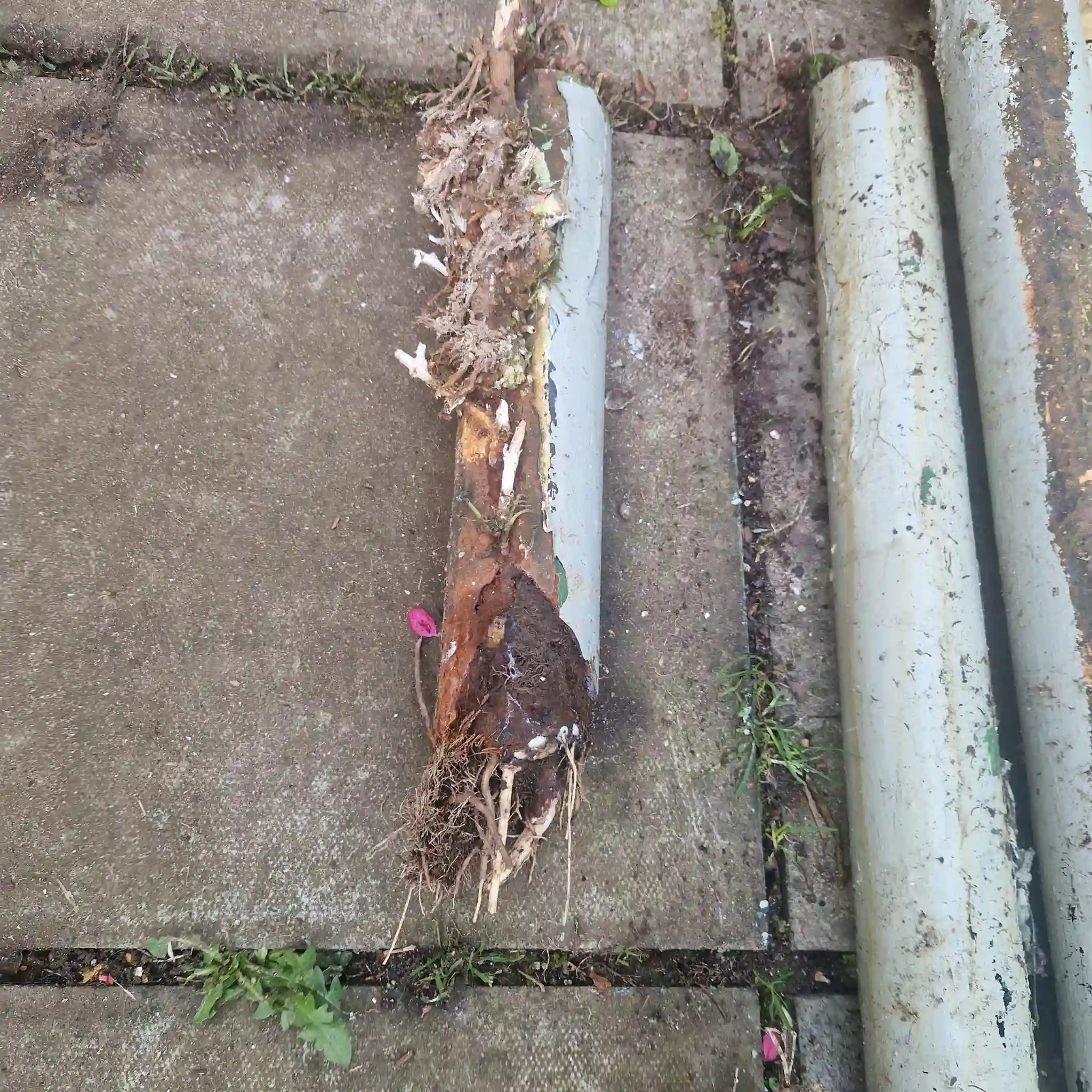 Purley drain unblocking service